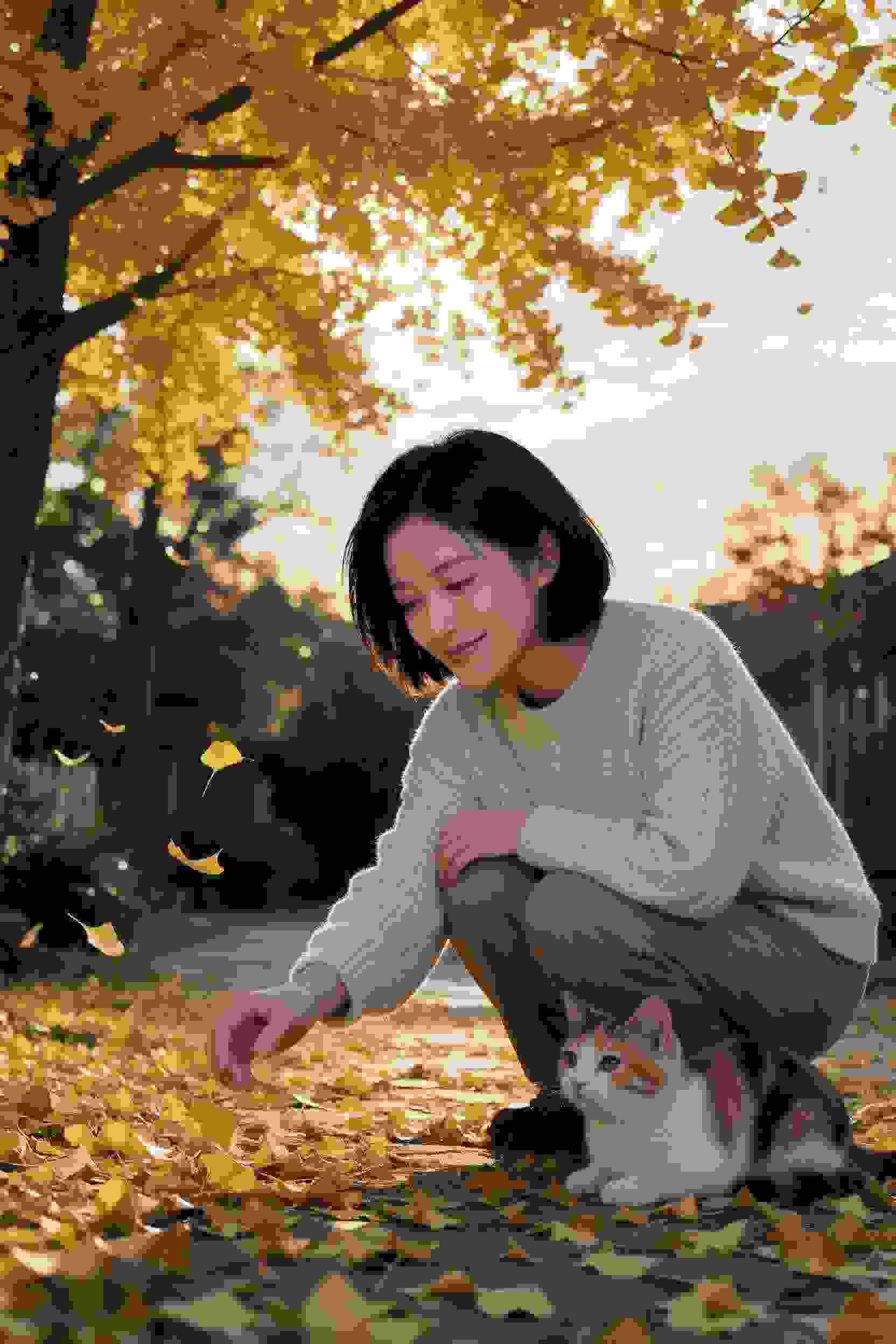 爱情短剧